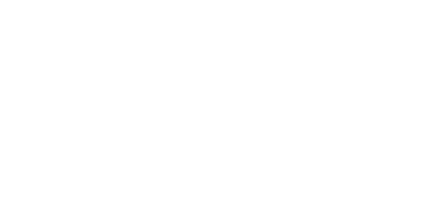 Niche Society